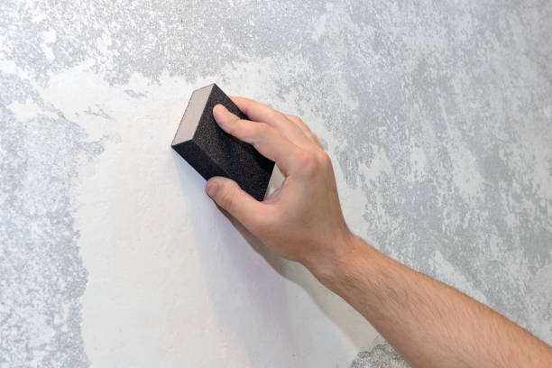 Best Emergency Mold Remediation  in Montpelier, VT