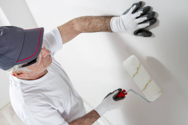 Best Biohazard Mold Removal  in Montpelier, VT