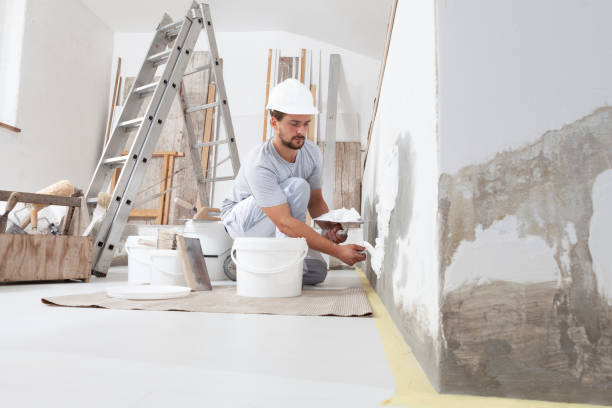 Best Real Estate Mold Inspection  in Montpelier, VT