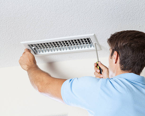 Best Environmental Consulting for Mold Prevention  in Montpelier, VT